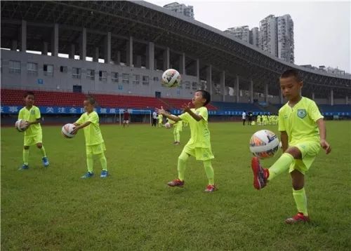  青少年篮球训练营，百名新苗开启特训